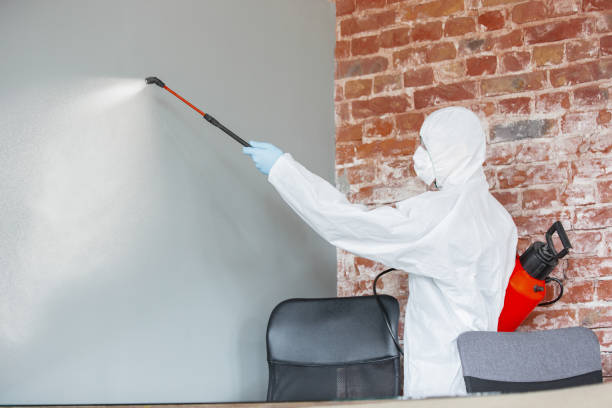 Best Mold-Related Health Consultation  in Macarthur, WV