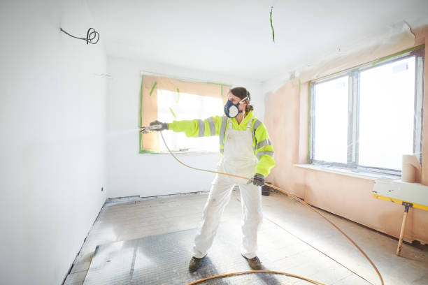 Reliable Macarthur, WV Mold Removal Solutions