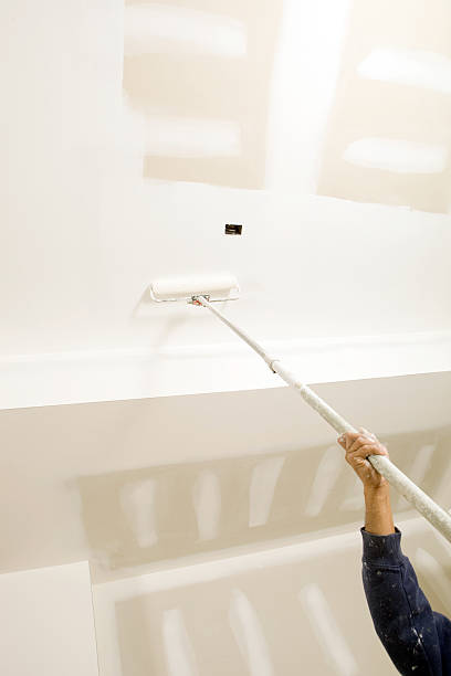 Best Mold Removal for HVAC Installations  in Macarthur, WV
