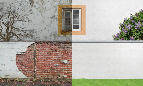 Best Attic Mold Removal  in Macarthur, WV