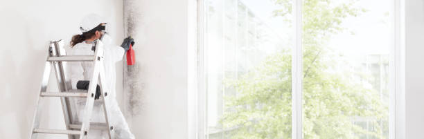 Best Post-Construction Mold Inspection  in Macarthur, WV