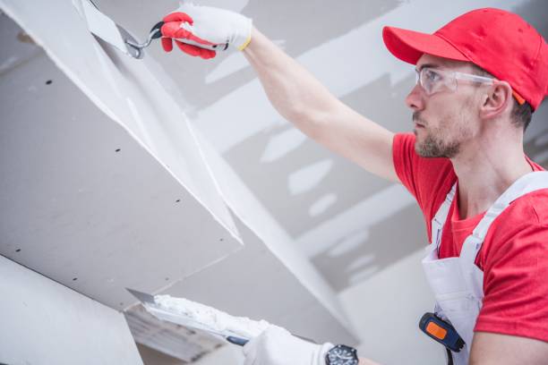 Best Industrial Mold Remediation  in Macarthur, WV
