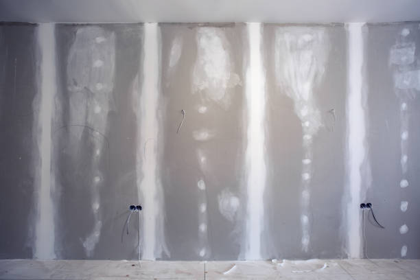 Best Mold Documentation for Insurance Claims  in Macarthur, WV