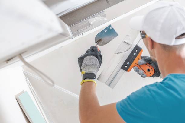  Macarthur, WV Mold Removal Pros